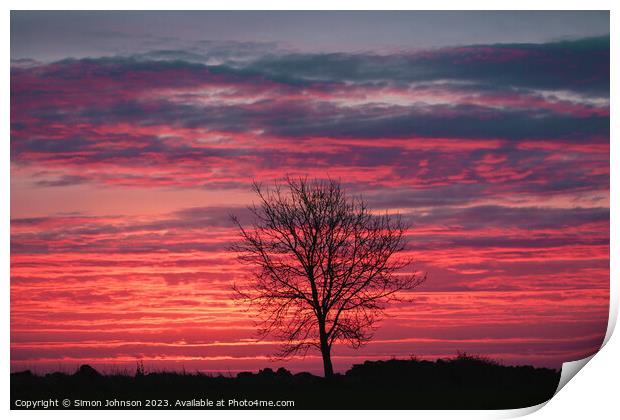 Tree Silhouette sunrise Print by Simon Johnson