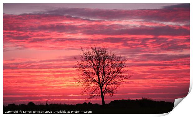 Tree silhouette sunrise Print by Simon Johnson