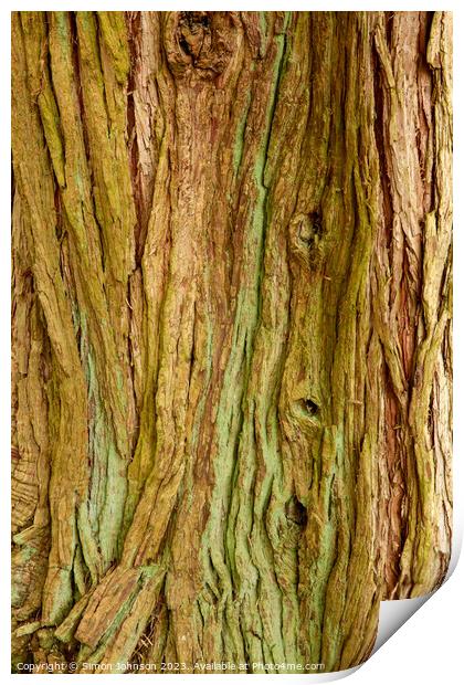 Tree bark Patterns Print by Simon Johnson