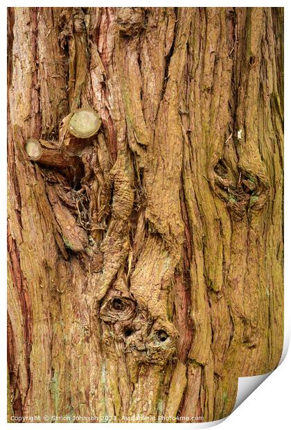 Tree bark Print by Simon Johnson