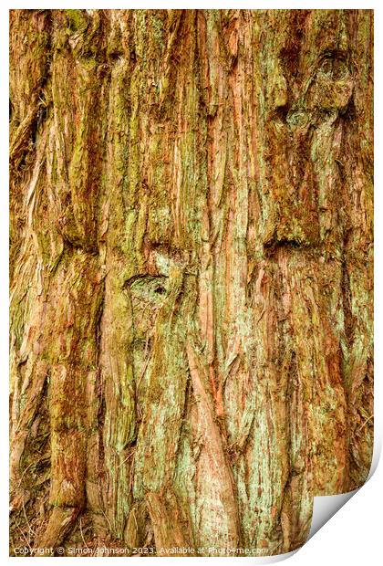 pattern in tree bark Print by Simon Johnson