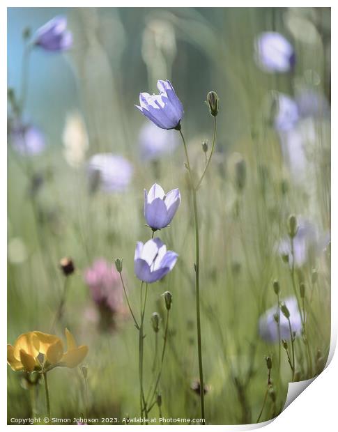 meadow Flowers  Print by Simon Johnson