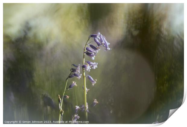 A blurry image of a flower Print by Simon Johnson