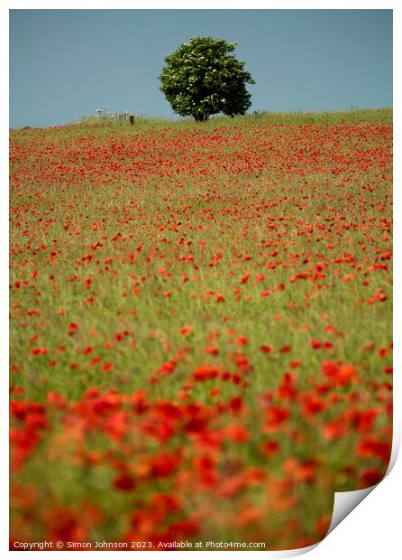 Poppy field  Print by Simon Johnson