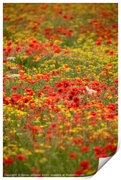 Poppy and wild flower  field Print by Simon Johnson