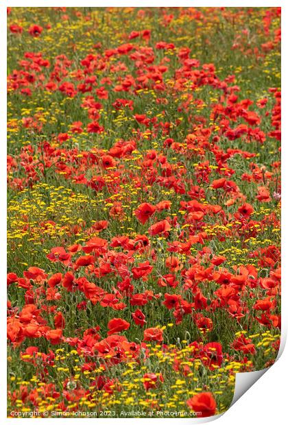 Wild flowers  and poppies  Print by Simon Johnson