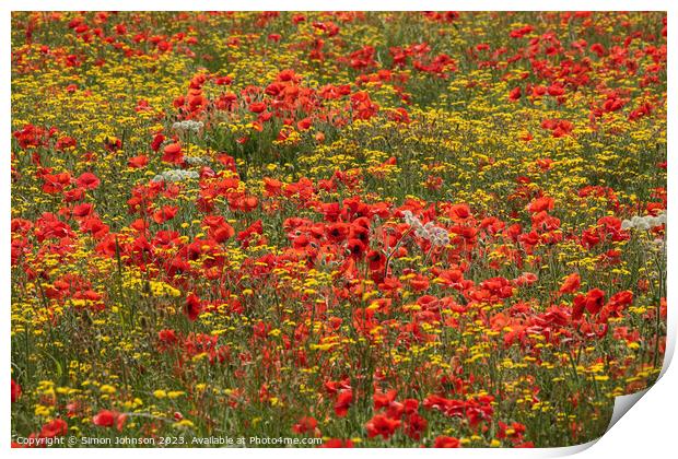  wild flowers and poppies  Print by Simon Johnson