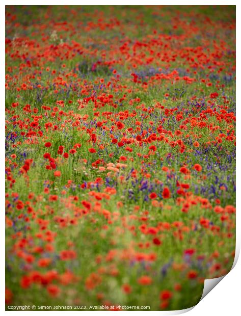 wild flowers Print by Simon Johnson