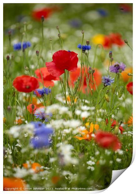 poppyr field with wild flowers Print by Simon Johnson
