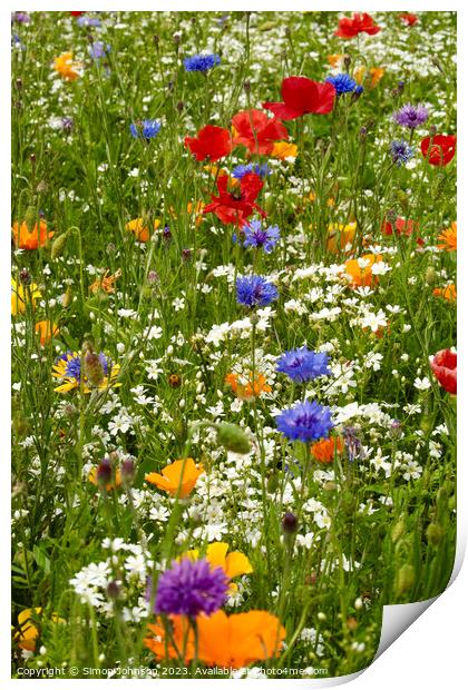 Wild flowers Print by Simon Johnson