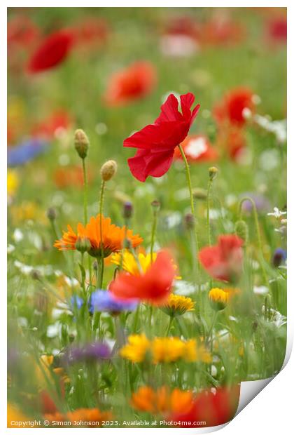 Wild flowers  Print by Simon Johnson