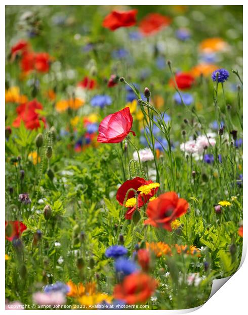 Wild flowers  Print by Simon Johnson