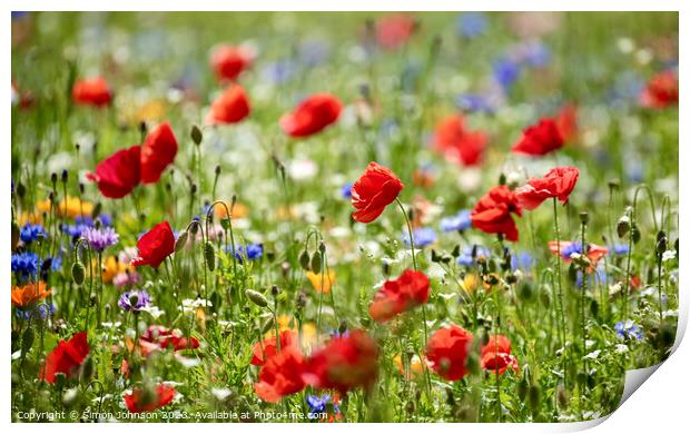 Wild flowers  Print by Simon Johnson