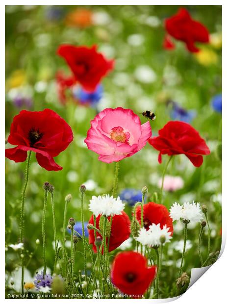 wild flowers and Poppies Print by Simon Johnson