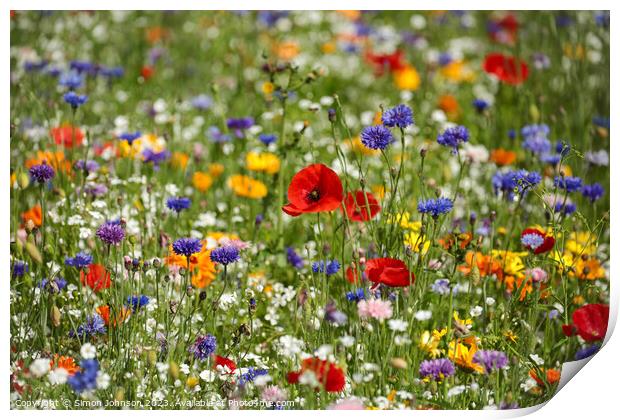Poppy  and wild flower field Print by Simon Johnson