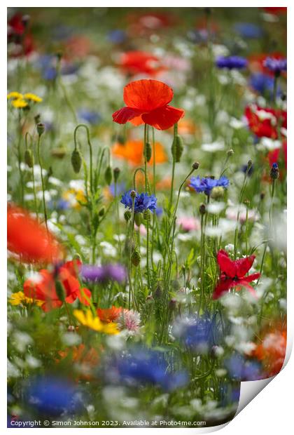 Vibrant Splendour Revealed: Microcosmic Floral Stu Print by Simon Johnson