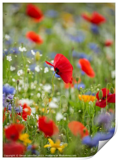 Poppy and wild flowers Print by Simon Johnson