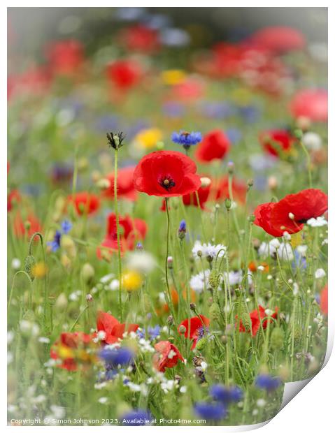 Vibrant Meadow's Floral Ensemble Print by Simon Johnson