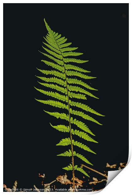 Whispering Ferns: A Microcosm Unveiled Print by Simon Johnson