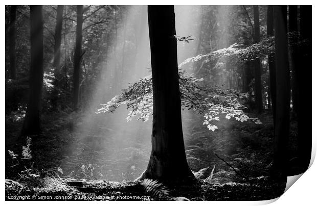 Ethereal Forest  Print by Simon Johnson