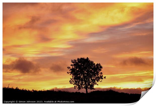 Tree Silhouette at sunrise Print by Simon Johnson