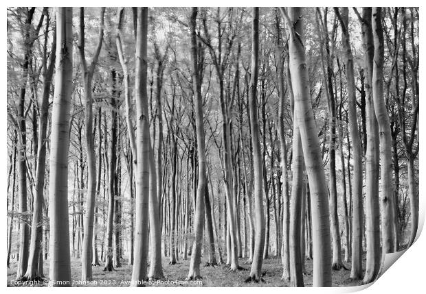 woodland in monochrome Print by Simon Johnson