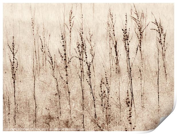 Grasses in a field monochrome  Print by Simon Johnson