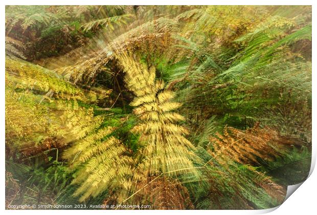 creative ferns Print by Simon Johnson