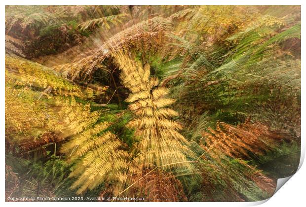 autumnal ferns Print by Simon Johnson