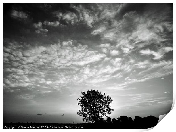 tree silhouette  Print by Simon Johnson