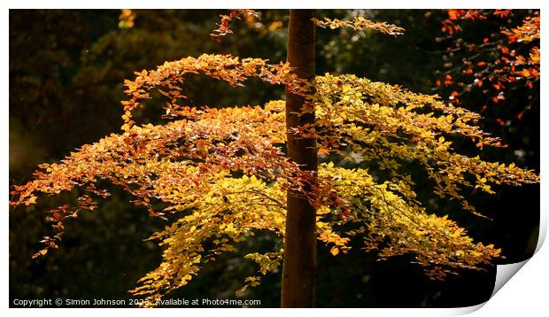 Plant tree Print by Simon Johnson