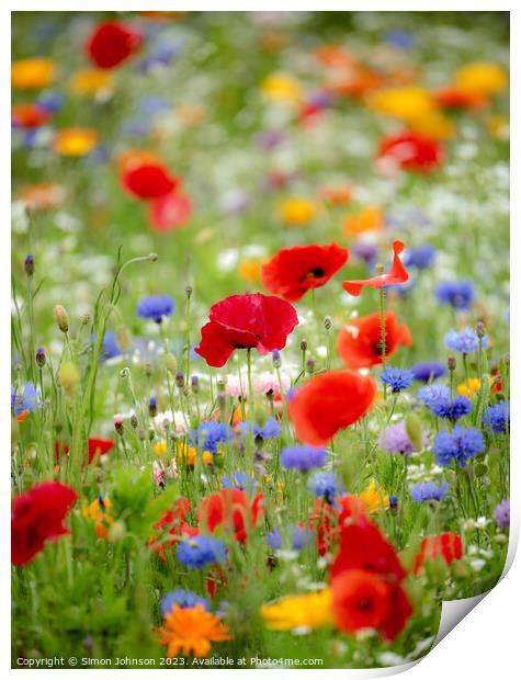 poppies and meadow flowers  Print by Simon Johnson