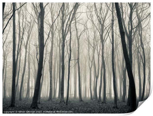 Woodland mist monochrome  Print by Simon Johnson