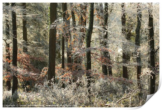 Woodland Hoar frost Print by Simon Johnson