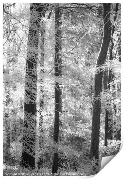 Woodland hoar frost soft focus Print by Simon Johnson