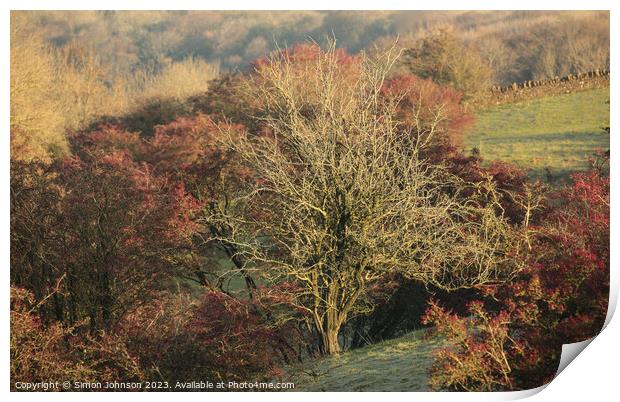 Plant tree Print by Simon Johnson