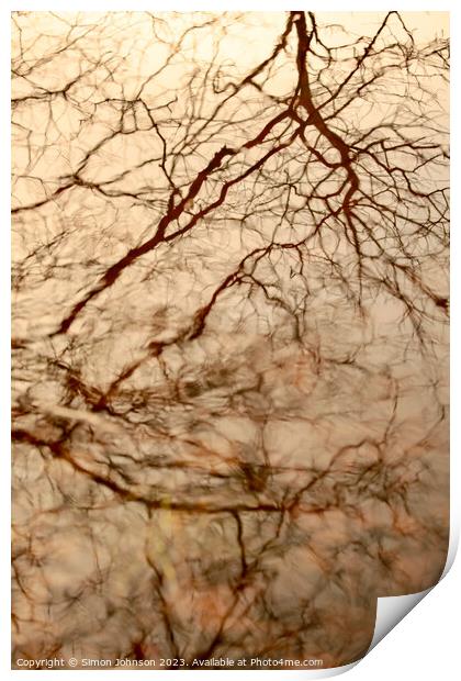 Pond reflections Print by Simon Johnson