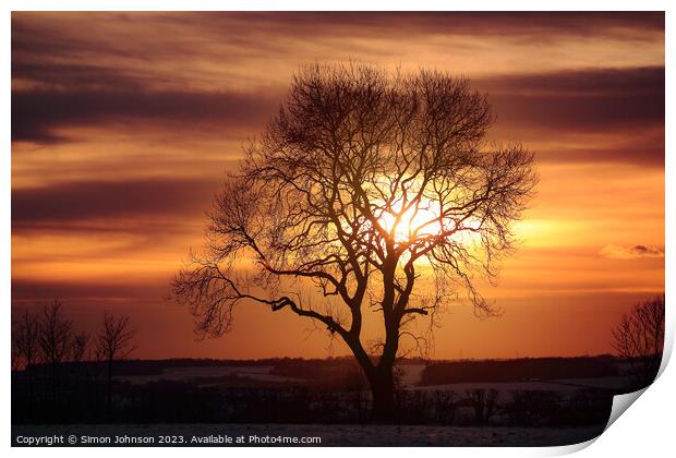 tree silhouette at sunset Print by Simon Johnson