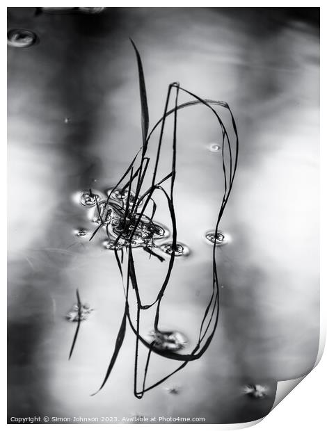Pond reflections monochrome  Print by Simon Johnson