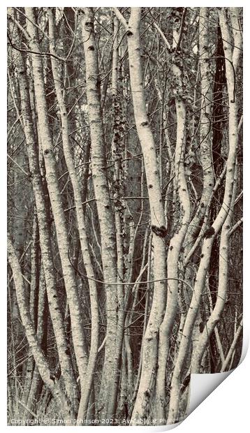 tree trunk patterns Print by Simon Johnson