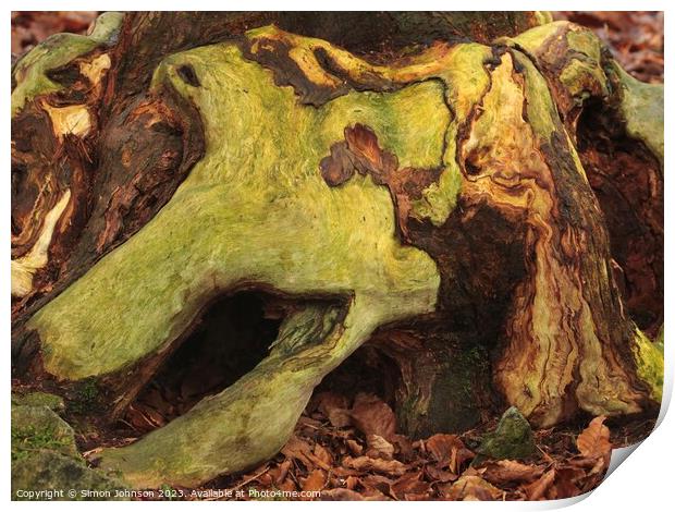 wood with lichen ( Colour in nature) Print by Simon Johnson