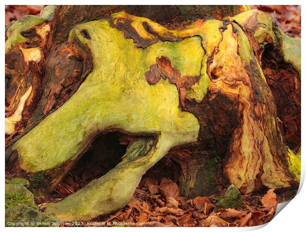 woodland bark with lichen Print by Simon Johnson