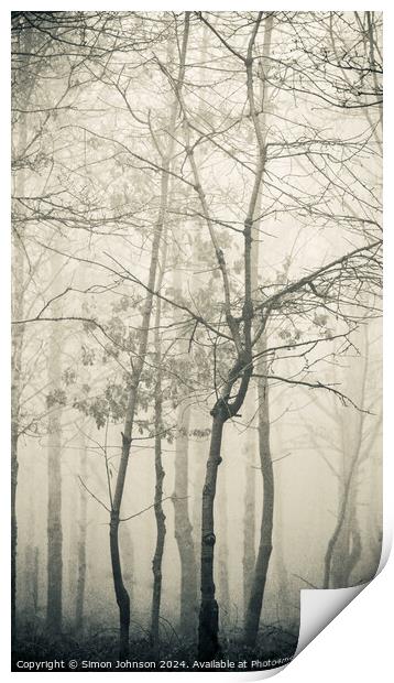  misty woodland Print by Simon Johnson