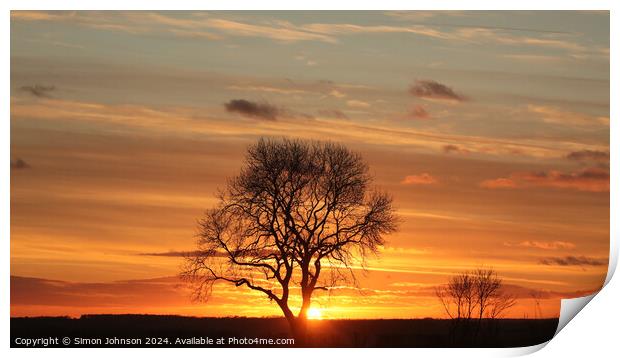 Tree silhouette sunset  Print by Simon Johnson