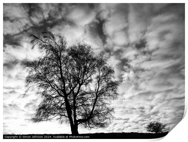 Two tree silhouettes in Monochrome  Print by Simon Johnson