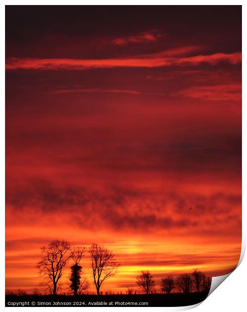 Tree silhouettes at sunrise  Print by Simon Johnson
