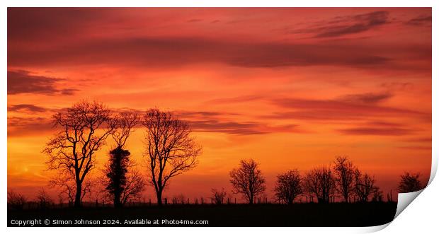 Tree silhouettes  Print by Simon Johnson