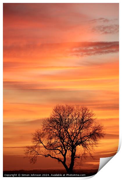 Cotswold sunset and tree silhouette   Print by Simon Johnson