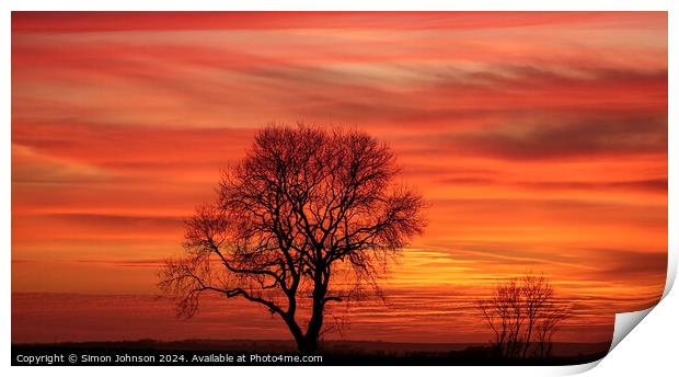 tree silhouette  at sunset Print by Simon Johnson