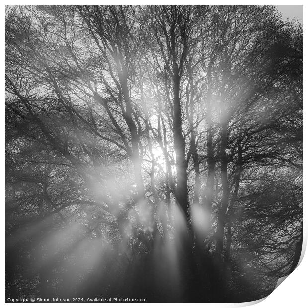 Sun burst in the woods Print by Simon Johnson